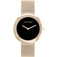 Watch Calvin Klein Woman Sculptural in Steel 25200151 - 25200151